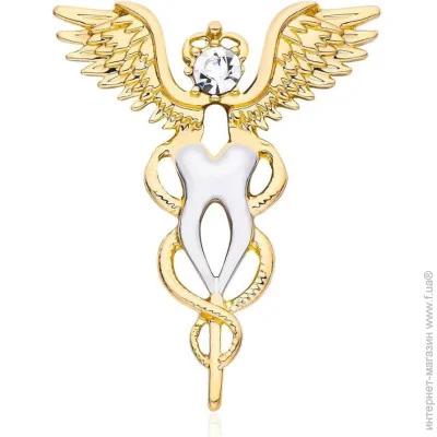 Broche   ()   BRGV114334