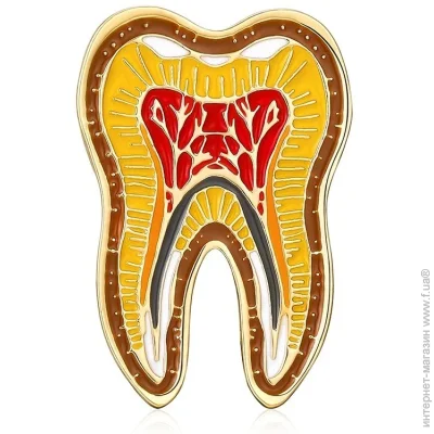  Broche  ()   BRGV114528