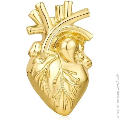  Broche  ()   BRGV114574