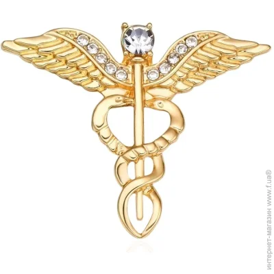  Broche  ()    BRGV114680