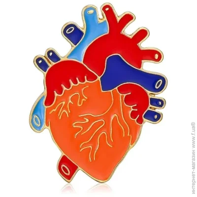  Broche  ()   BRGV114715