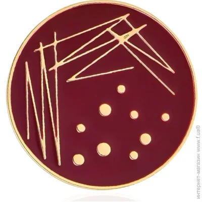  Broche  ()    BRGV114727