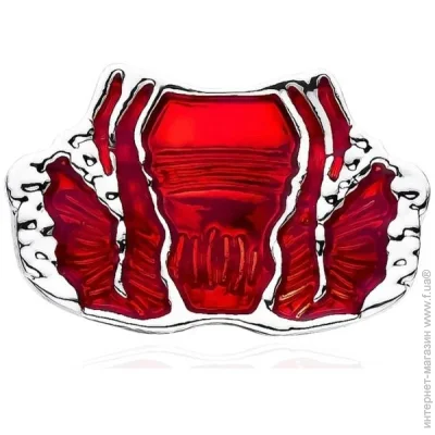  Broche     () BRGV114740