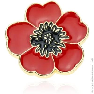  Broche  ()   BRGV114831