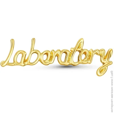  Broche  ()   BRGV114879