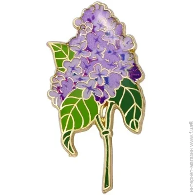  Broche  ()   BRGV114974