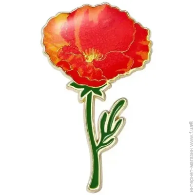  Broche  ()   BRGV115001