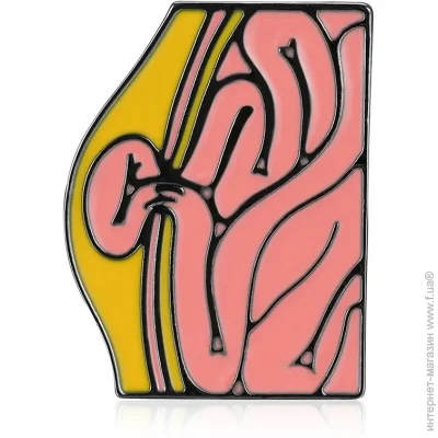  Broche  ()    BRGV115033