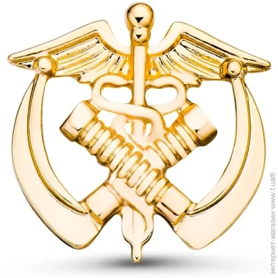  Broche  ()     BRGV115045