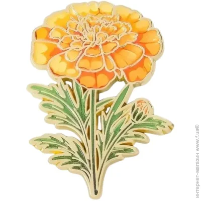  Broche  ()   BRGV115050