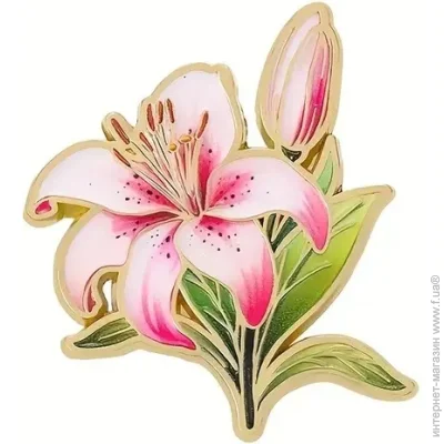  Broche  () ˳  BRGV115051
