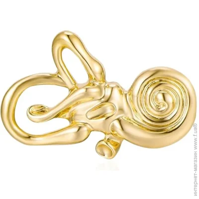  Broche      BRMG114773