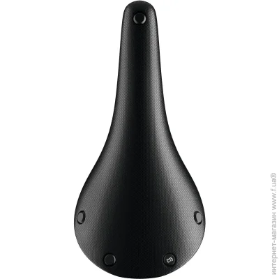   Brooks Cambium C15  (1007-013861)