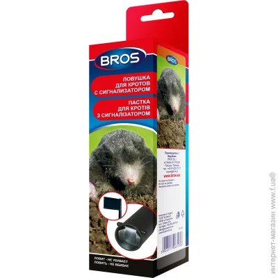  Bros    