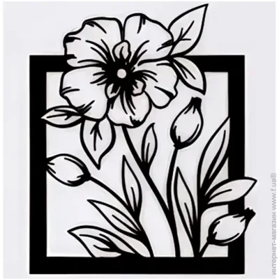  Brushme    45x30  