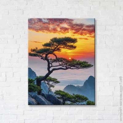  Brushme    50x65  FNK5000106