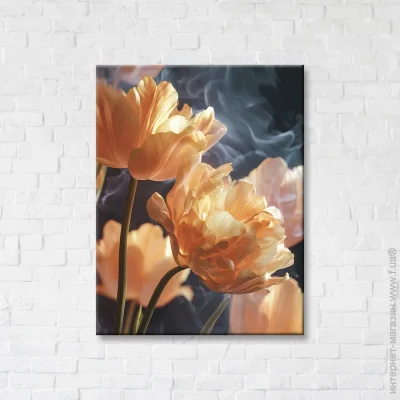  Brushme      50x65  FNK5000107