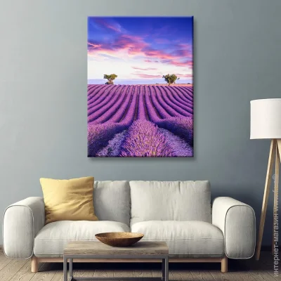  Brushme   90x120  FNK0115804