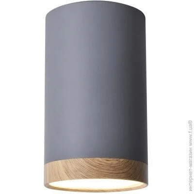  Candellux 2282879 Tuba