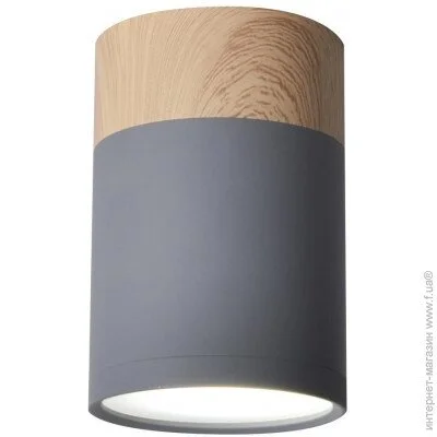  Candellux 2284262 Tuba
