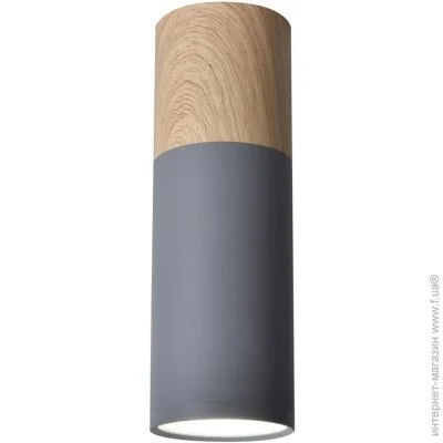  Candellux 2284286 Tuba