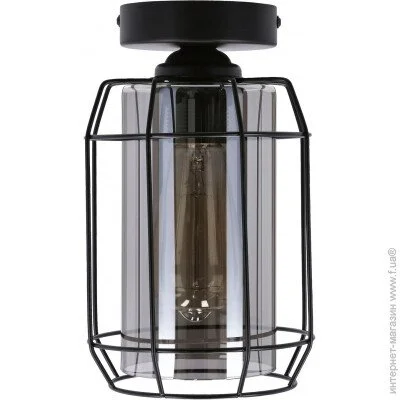  Candellux 31-08404 Jonera