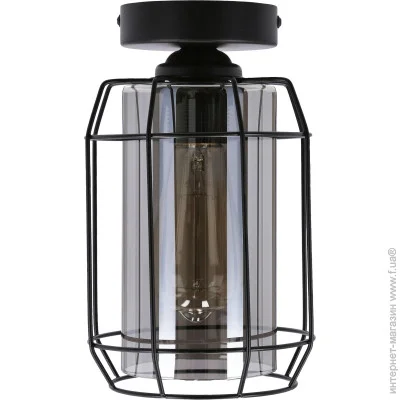 Candellux   31-08404 Jonera (31-08404-candellux)