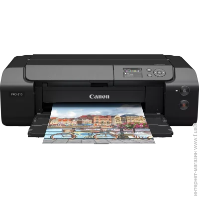  Canon imagePROGRAF PRO-310 Wi-Fi (6858C006)