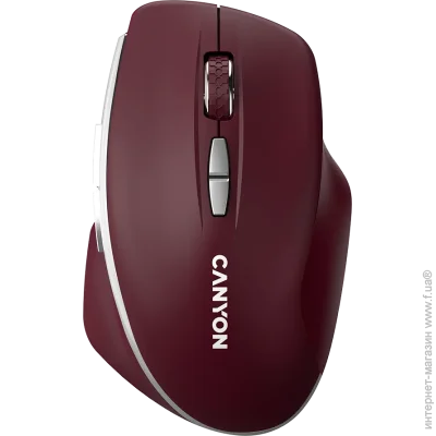  Canyon MW-21 (CNS-CMSW21BR)
