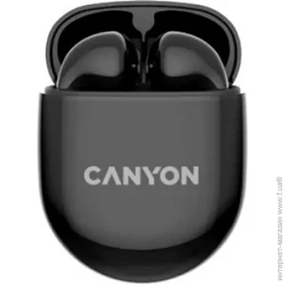  Canyon TWS-6 Black (CNS-TWS6B)