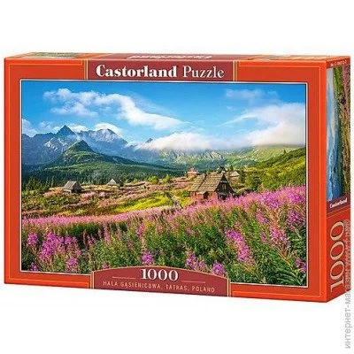 Пазл классический Castorland Пазлы «Татры. Польша» 1000 элементов (C-104512) Пазл классический Castorland Пазлы «Татры. Польша» 1000 элементов (C-104512)