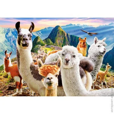   Castorland    1000  (C-104758)