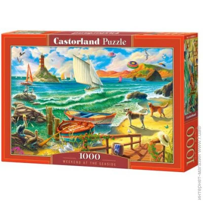   Castorland     1000  (C-104895)