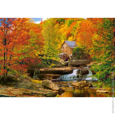   Castorland    1000  (C-104918)