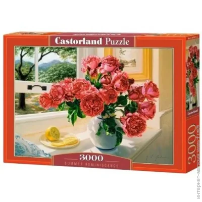   Castorland , 3000 , 240600 (C-300631)