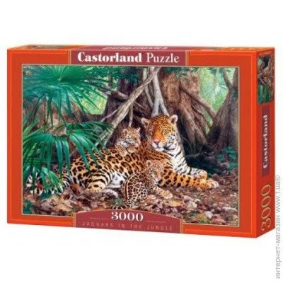   Castorland  "  " 3000  (-300280)