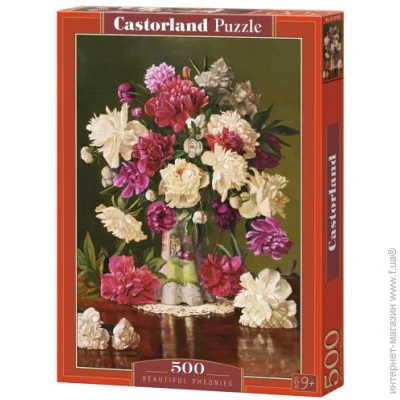   Castorland  " ", 500 , 207355 (B-53780)