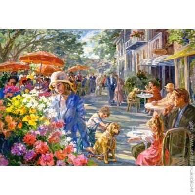   Castorland  " ", 500  (-53438)