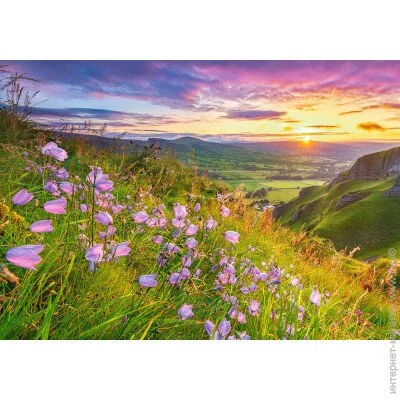   Castorland   500  (b-53681)