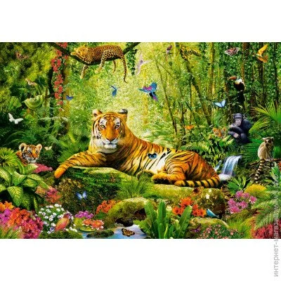 Пазл класичний Castorland Пазли Великий Тигр 500 елементів (b-53711) Пазл класичний Castorland Пазли Великий Тигр 500 елементів (b-53711)