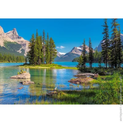   Castorland    500  (b-53803)