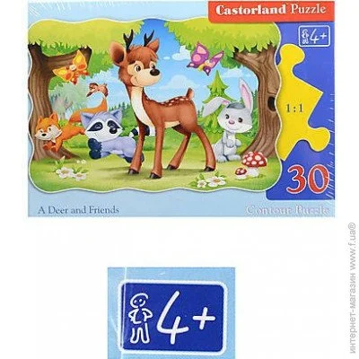   Castorland    (B-03570)