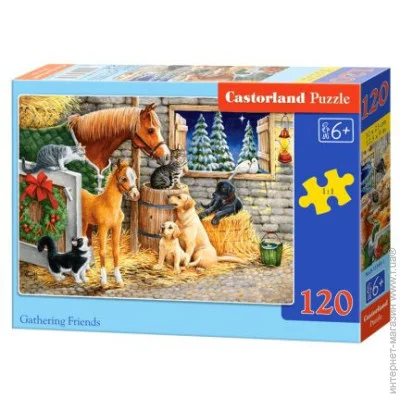   Castorland  (B-13340)