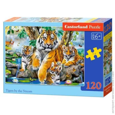   Castorland   (B-13517)