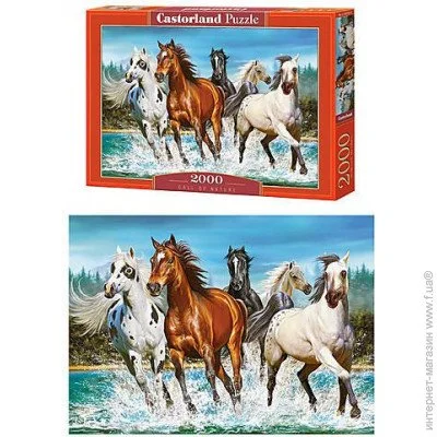 Пазл классический Castorland Бегущие лошади (C-200702) Пазл классический Castorland Бегущие лошади (C-200702)