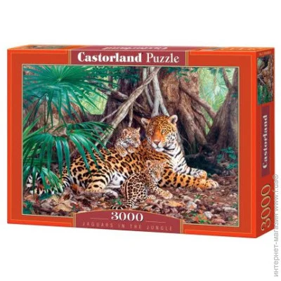   Castorland  (C-300280)