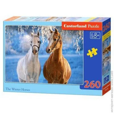   Castorland  Castorland   260  (32850)