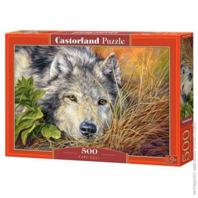   Castorland  Castorland   500  (B-53285)