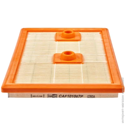   () Champion CAF101067P