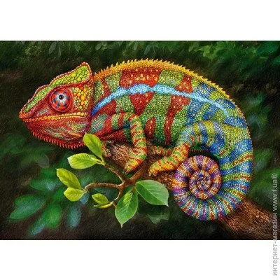 Пазл класичний Cherry Pazzi Пазл Хамелеон 1000 Елементів, Мозаїка (CP30011) Пазл класичний Cherry Pazzi Пазл Хамелеон 1000 Елементів, Мозаїка (CP30011)